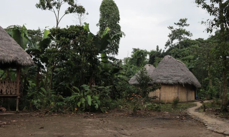 Sarayaku tiene una población de 1.500 personas repartidas en 144.000 hectáreas de su territorio ancestral / Foto: El Oriente