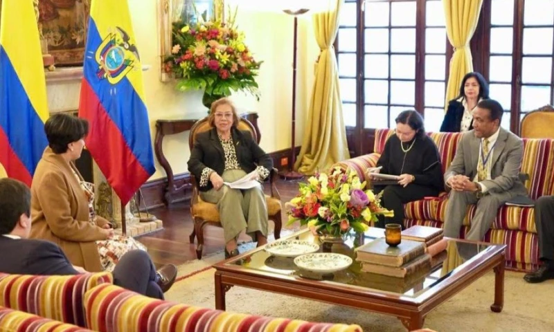 El encuentro se desarrolló de forma virtual con el acompañamiento de la Comunidad Andina / Foto: referencia archivo Cancillería