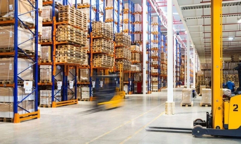 El sector forestal exportó más de 737 millones de dólares en 2025 a nivel global / Foto: cortesía Ekos