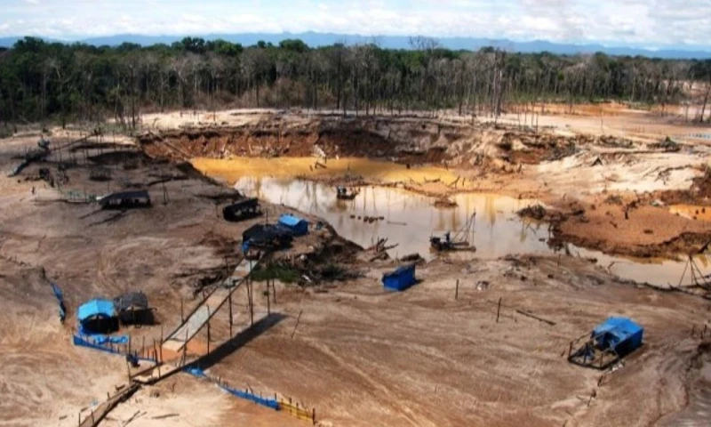 La mayor expansión se concentra en el sector norte de la reserva, cerca del río Malinowski / Foto: cortesía
