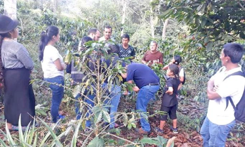 ENSEÑANZA. Los productores durante capacitación Foto: La Hora