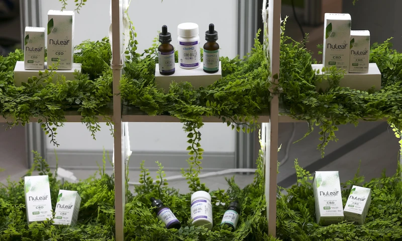 La reunión albergará durante tres días, una serie de ponencias y conferencias de especialistas de distintos países / Foto: EFE