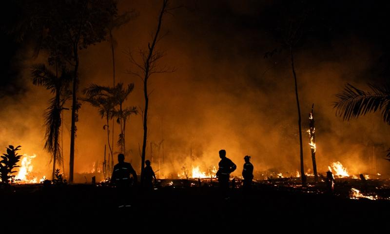 El estudio fue divulgado por la organización ecologista Imazon./ Foto: cortesía EFE