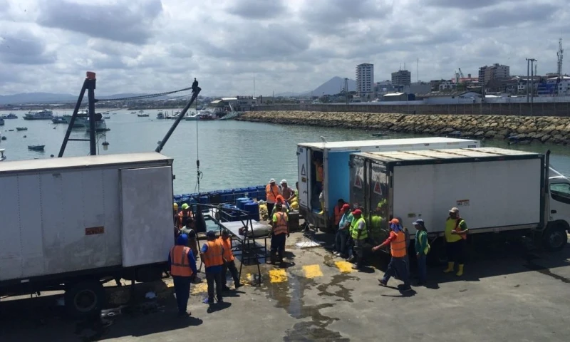 El sector atunero ecuatoriano ha logrado sostener su competitividad en medio de un mercado volátil / Foto: cortesía