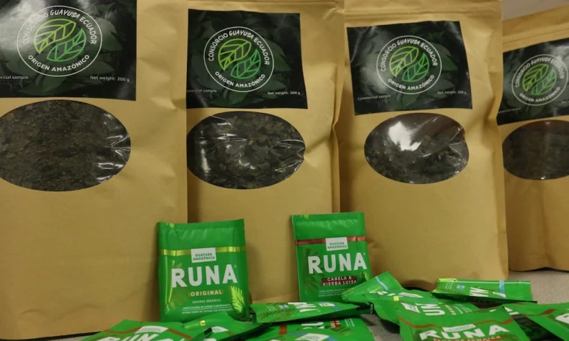 Ecuador presentó el primer Consorcio de Promoción de Exportaciones de Guayusa. Esta iniciativa busca impulsar el posicionamiento del producto en los mercados internacionales / Foto: cortesía ministerio de Producción