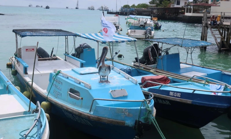 La reserva de Galápagos está en el foco de un polémico canje de deuda / Foto EFE