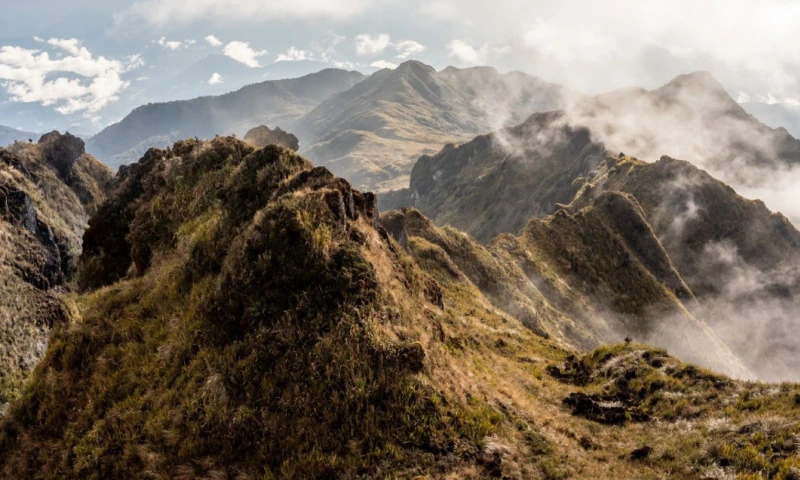 El nuevo Corredor conecta a dos áreas protegidas: el Parque Nacional Llanganates y el Parque Nacional Sangay. Tiene una superficie de 92.148 hectáreas / Foto: cortesía ministerio de Ambiente