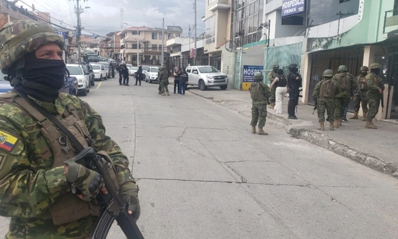 "Necesitamos apoyo militar en fuerza de personas, de soldados, así como asistencia en inteligencia, artillería y equipamiento" / Foto: cortesía FF. AA.