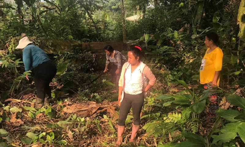 Indígenas valoran reciente fallo de la Corte Constitucional / Foto: EFE