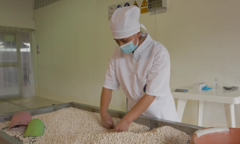 Los investigadores señalaron que estas propiedades podrían convertirlo en una alternativa relevante para fortalecer dietas saludables / Foto: cortesía USFQ