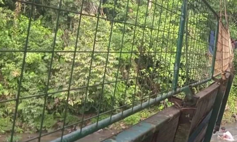 Colapso de puente en Puyo dejó 8 heridos / Foto: cortesía