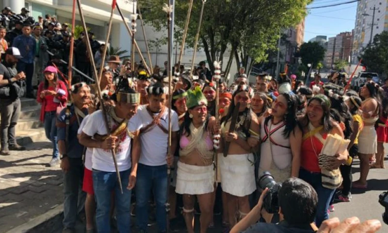 Fundación Pachamama