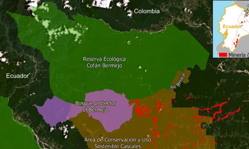 Las áreas afectadas se extienden también hacia el Bosque Protector El Bermejo y el Área de Conservación Municipal y Uso Sostenible Cascales / Foto: cortesía MAAP