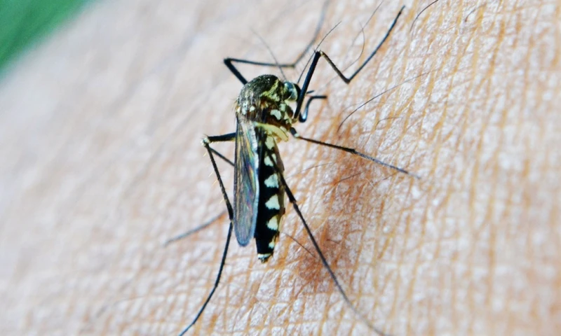 Principales noticias de Ecuador hoy - 8 de noviembre de 2023 / Foto: cortesía 