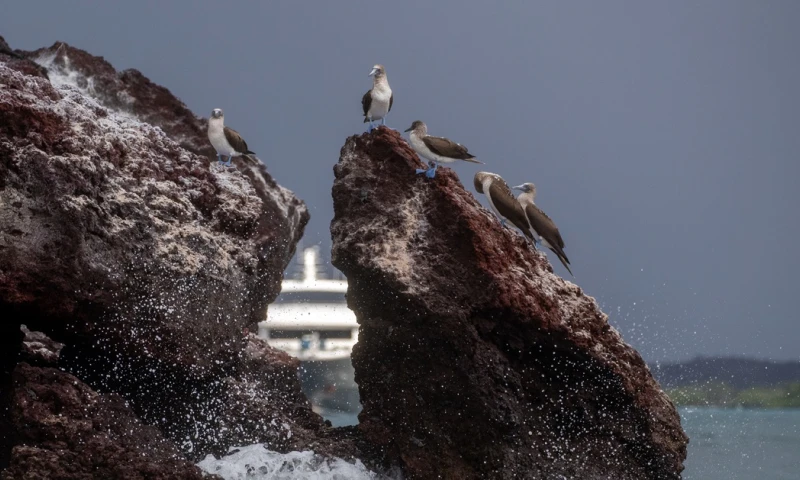 La entrega del equipamiento tuvo lugar en la capitanía de Seymour, al norte de la isla Santa Cruz / Foto: EFE
