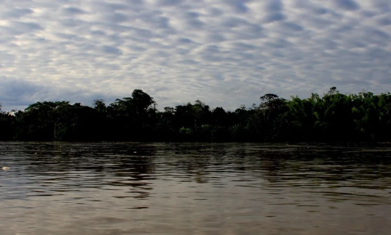 'Come to the Rainforest' es una organización que opera en la región amazónica ecuatoriana desde 2010 / Foto: El Oriente