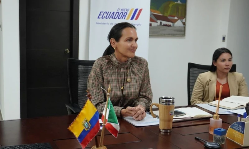 Su salida se produce en un contexto sensible, marcado por ajustes en el gabinete del presidente Daniel Noboa / Foto: cortesía MAE