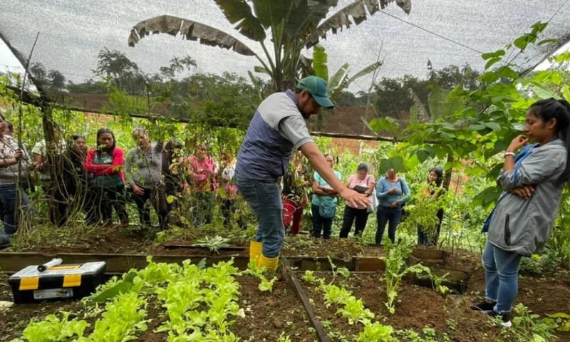 Los paquetes forman parte del Proyecto Nacional de Semillas para Agrocadenas Estratégicas / Foto: cortesía ministerio de Agricultura