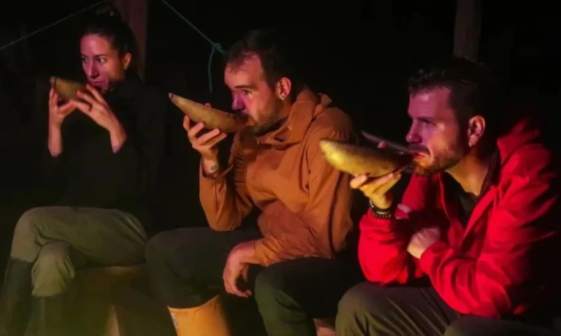 La vainilla, el cacao blanco y la guayusa tienen todo el potencial para crecer en el mercado europeo / Foto: EFE