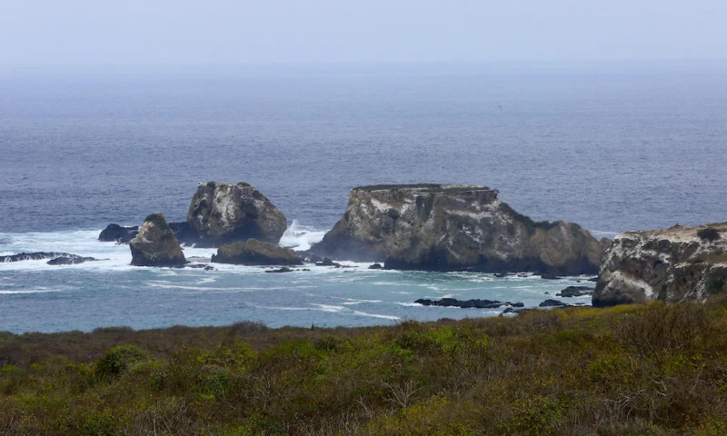 Fondo Verde aprueba $ 117,6 millones para acciones en Galápagos / Foto: EFE