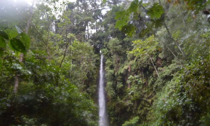 Cascada Hola Vida. Foto: Expreso