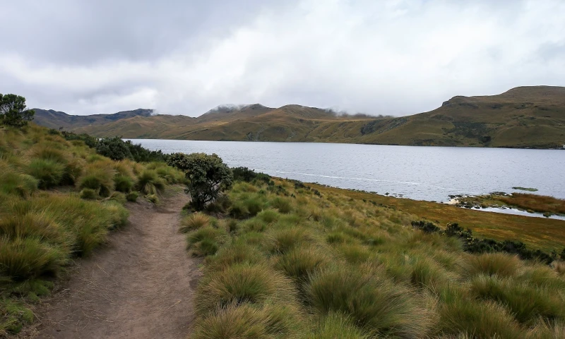 Ecuador avanza hacia la transición ecológica / Foto: EFE