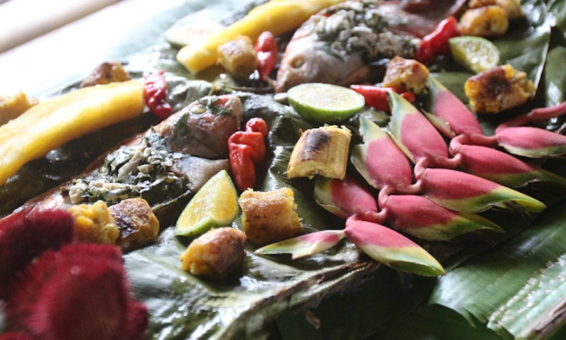 El Reto “Amazonía Innova” premiará los bioemprendimientos / Foto: cortesía Ministerio de Ambiente