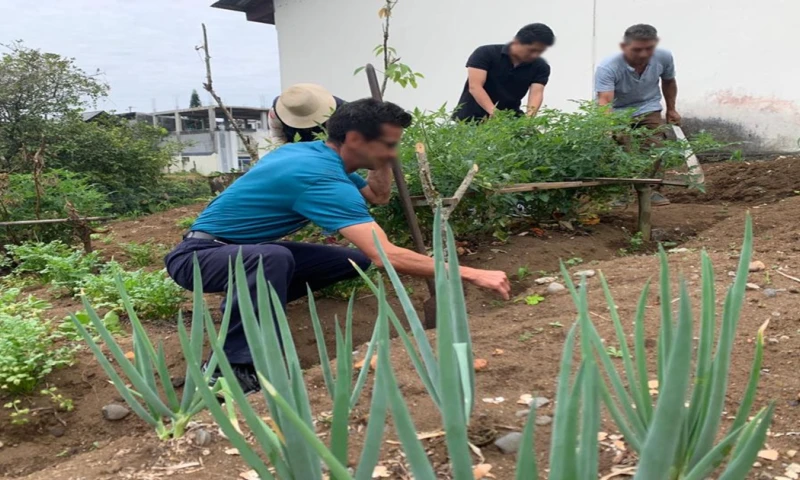 Se extendieron las actividades para incidir de forma positiva en los pacientes / Foto: cortesía Ministerio de Salud