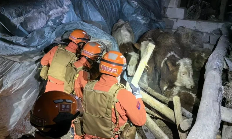 El temblor afectó sobre todo al condado de Wushi de la prefectura de Aksu / Foto: EFE