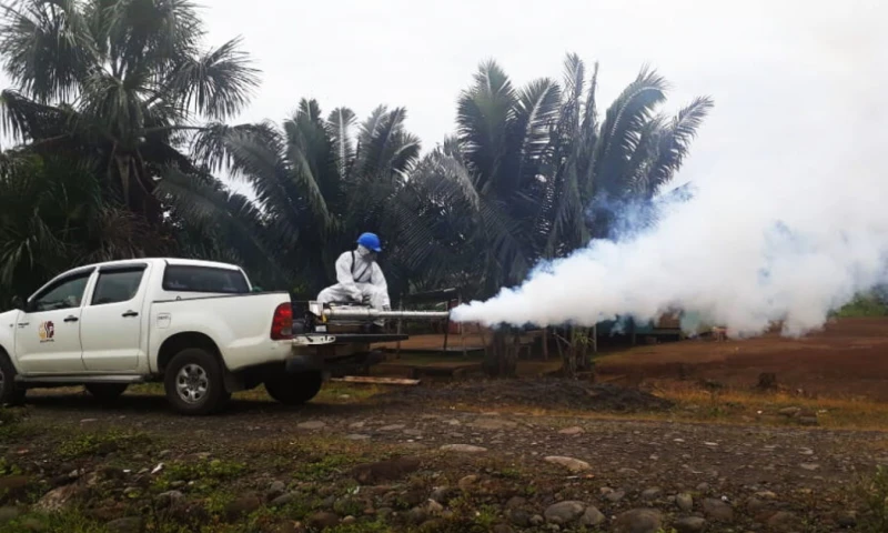 Napo registra 1.363 casos de dengue en 2024 / Foto: cortesía Exprésate Morona Santiago 