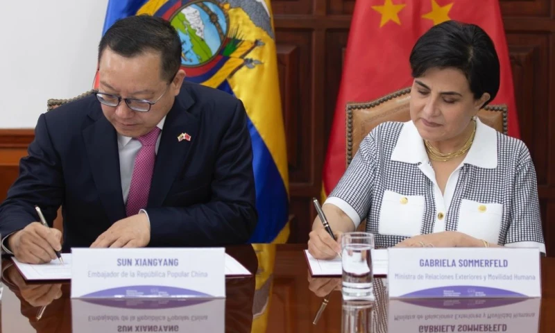 La donación fortalecerá las políticas estatales de reactivación económica y social / Foto: cortesía Cancillería 