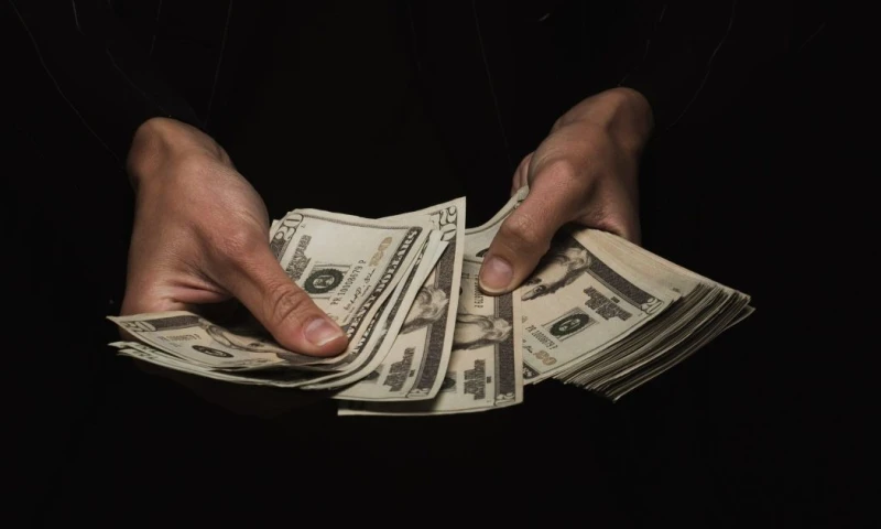 El estudio señala que más del 99 % de los socios son personas naturales y que 8 de cada 10 no tienen educación superior / Foto: Pixabay