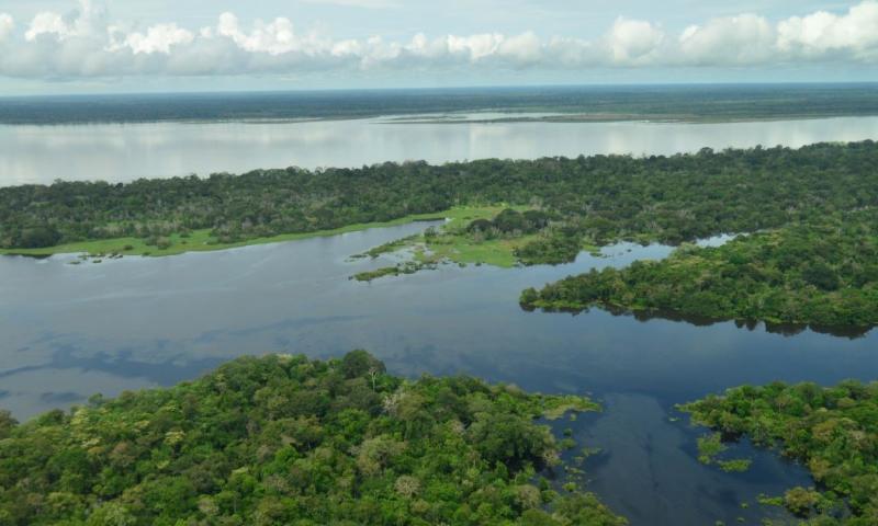 Entre abril de 2024 y marzo de 2025 se habrían deforestado alrededor de 56.719 hectáreas/ Foto: cortesía