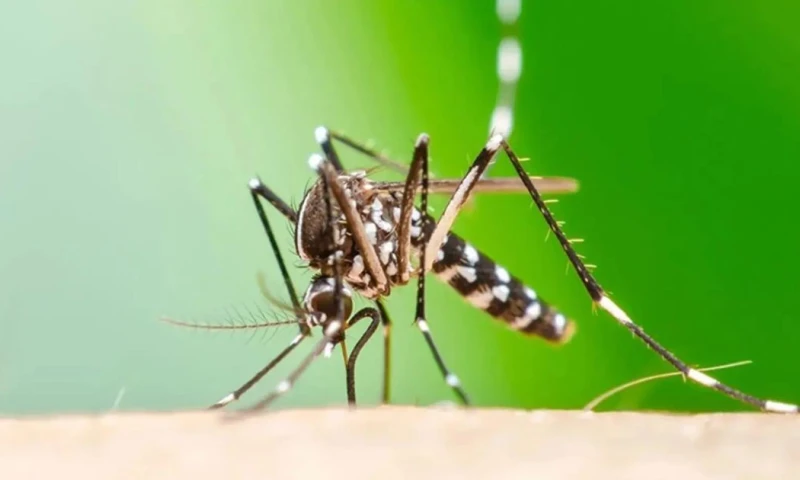 Todos los casos fueron confirmados por el Centro Nacional de Referencia (CRN) / Foto: cortesía Raid
