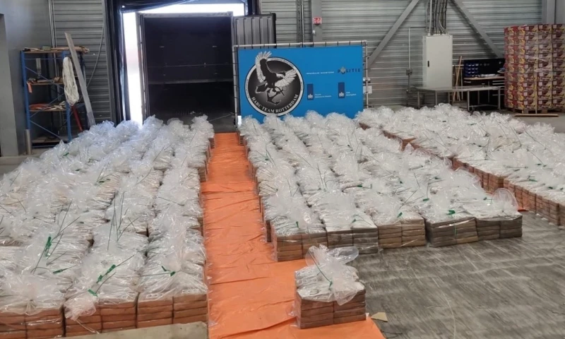 El contenedor cargaba 8.064 kilos de cocaína y que llegó a Róterdam pasando por Panamá con la droga escondida entre plátanos/ Foto: cortesía Openbaar Ministerie Rotterdam