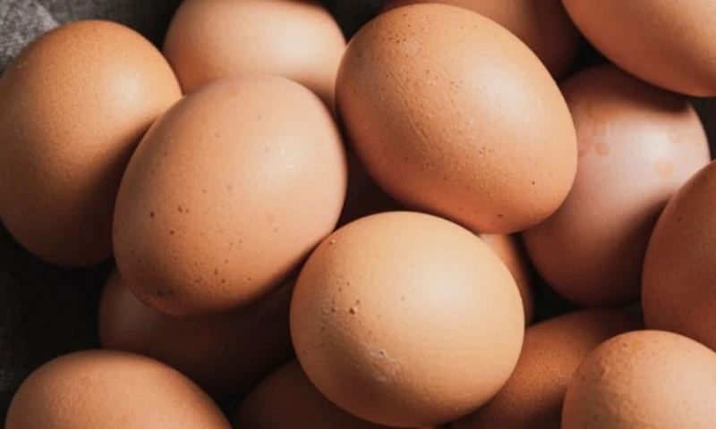 Con esta resolución, los exportadores interesados deberán gestionar sus permisos basándose en los lineamientos técnicos ya establecidos / Foto: cortesía 