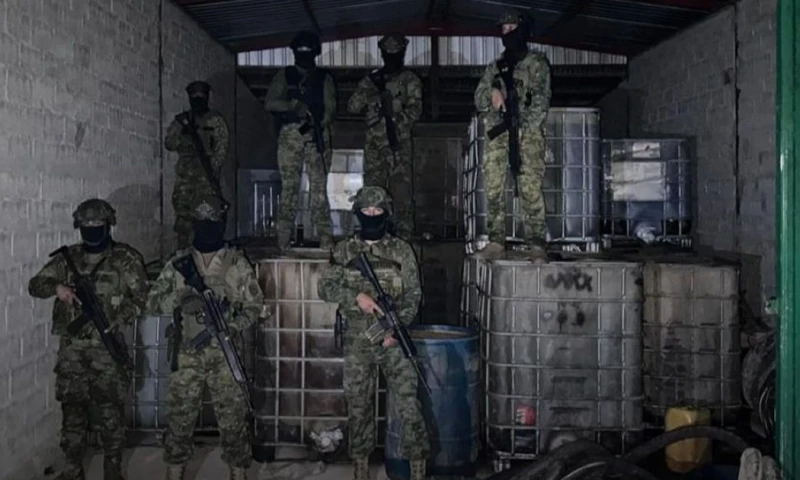 La incautación representa una afectación económica estimada en unos 55.000 dólares para las estructuras criminales / Foto: cortesía Ministerio de Defensa