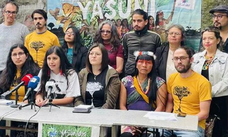 Sylvia Bonilla, abogada de Yasunidos, dijo  sobre la sentencia del TCE "no cabe ningún recurso ordinario que pueda interponer el Consejo Nacional Electoral para que otro tribunal revea esta decisión" / Foto: cortesía Yasunidos