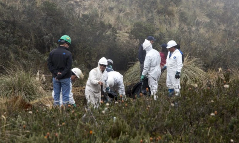 Foto: Ecuador en Vivo