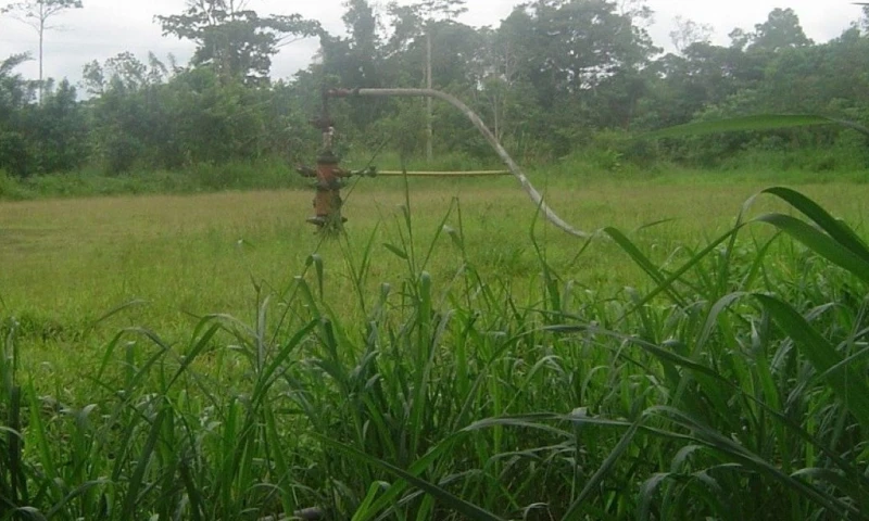 El jefe policial de Shushufindi confirmó que ambos presentaban múltiples heridas de arma blanca / Foto: El Oriente 
