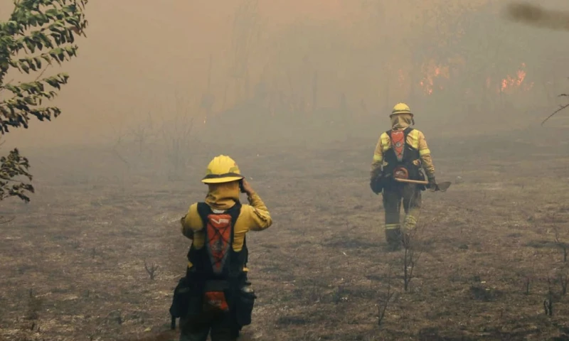 Enormes llamaradas han consumido bosques y amenazan con llegar a sitios poblados de la zona / Foto: cortesía Bomberos Quito