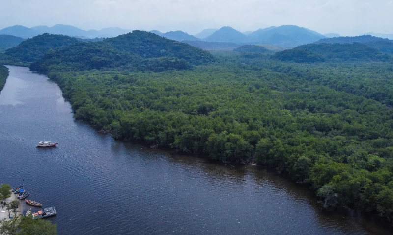 En el 'top 10' también figuran Perú y Colombia en el quinto y sexto lugar, respectivamente, y otras naciones como Indonesia y Malasia / Foto: EFE