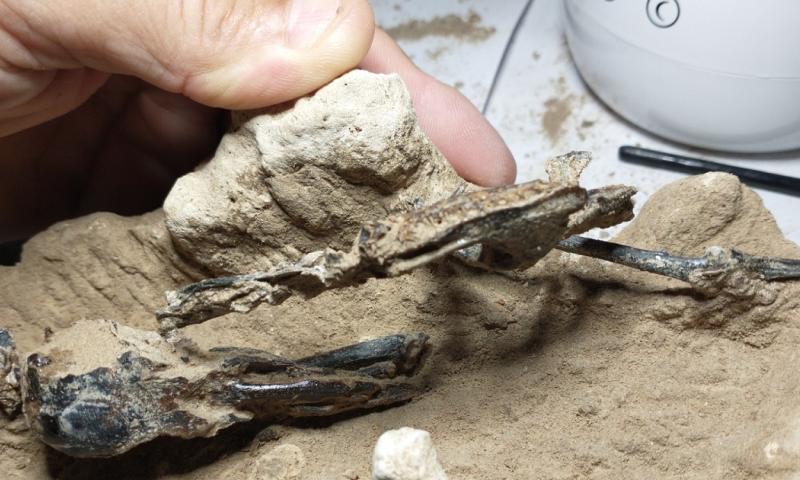 Será exhibido en los próximos días en el Museo Fray Manuel de Torres, de San Pedro./ Foto: cortesía EFE