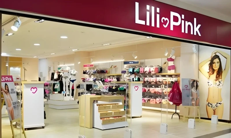 Lili Pink, enfrenta un proceso por presunto contrabando y lavado de activos. / Foto: Lili Pink