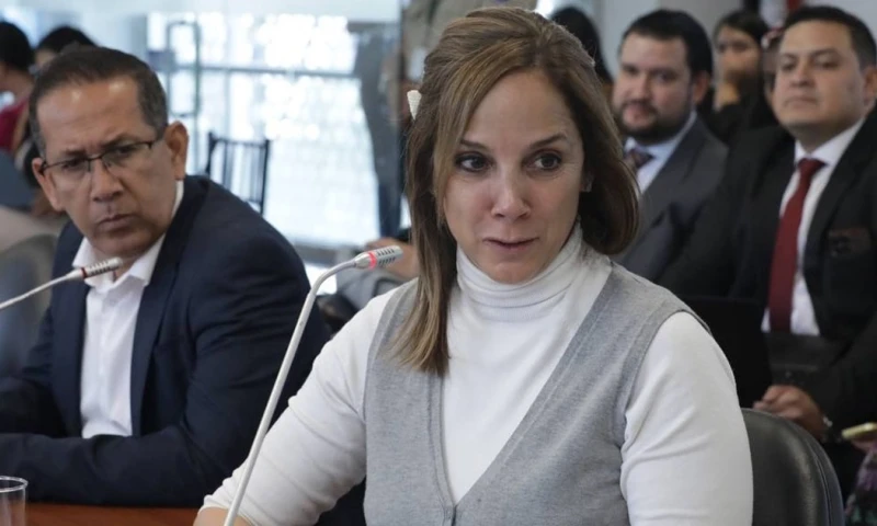La directora de Asuntos Internacionales y Arbitraje de la Procuraduría General del Estado analizó el caso./ Foto: cortesía: Asamblea