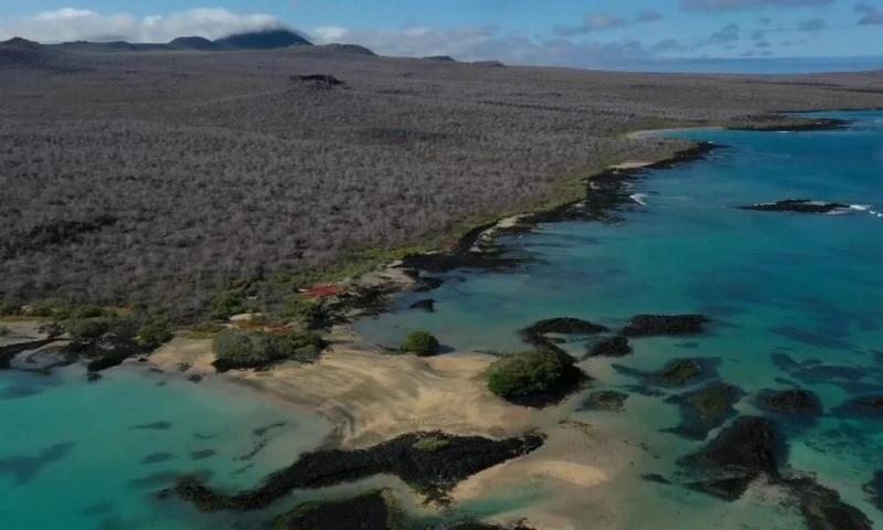 El proyecto Restauración Ecológica en Floreana comenzará con la primera aplicación de cebos para erradicar del ecosistema de esta isla a las especies invasoras / Foto: EFE