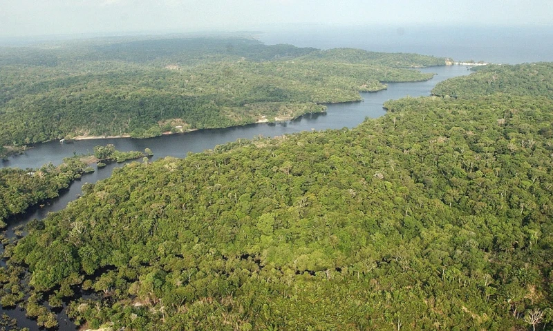 La panamazonía registró más de 1.300 conflictos por tierras en solo dos años / Foto: EFE