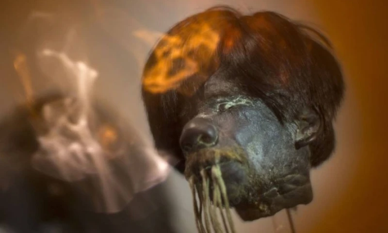 Una de las 12 tzantzas que se exponen en Quito. Foto: Expreso