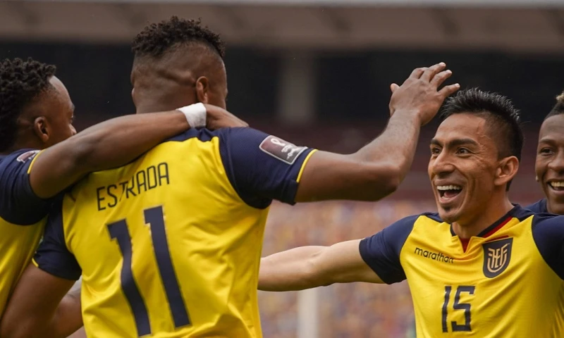 ¿Dónde ver los 3 partidos de Ecuador por las eliminatorias a Qatar 2022? / Foto: FEF