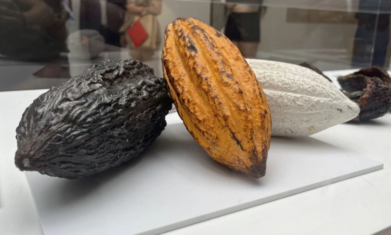 La exposición se lleva a cabo en el Real Jardín Botánico-CSIC./ Foto: cortesía EFE